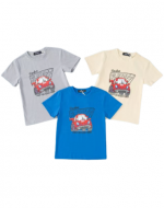 Polera Niño x 15 Unds. Talla: 2 a 6 años