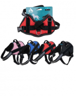 Arnés para Mascotas x 4 Unds.Tallas: XS