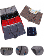 Bóxer de Niño Algodón Colores Surtidos x 12 Unds. Tallas: 20 (2 - 4)  22 (4 - 6)  24 (6 -8) 26 (8 - 12)