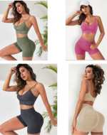 Conjunto Deportivo Dos Piezas de Dama Colores Surtidos x 18 Unds. Talla: S - M - L
