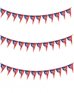 Guirnalda de Papel con Diseño Fiestas Patrias x 12  Unds. Medidas: 3 Metros aprox.