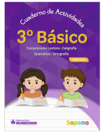 Libro Actividades Caligrafia Vertical Tercero Básico Sopena x 3 Unds.