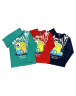 Polera Niño Manga Larga x 15 Unds. Talla: 4 a la 12