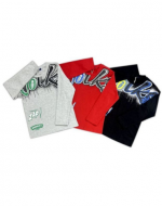 Polera Niño Manga Larga x 15 Unds. Talla: 8 a la 16