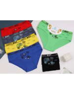 Slip para Niños Colores Surtidos x 12 Unds. Talla: 2 / 4 - 4 / 6 - 6 / 8 - 8 / 12