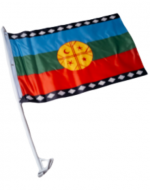 Bandera Mapuche para Auto x 20 Unds. Medida: 30 x 45  cm aprox