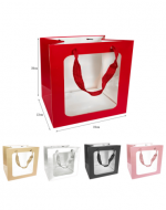 Bolsa de Regalo Color Liso Transparente x 12 Unds. Medidas: 19 x 12 x 23 cm aprox.