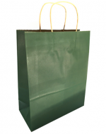 Bolsa de Regalo Papel Kraft Color Verde x 24 Unds. Medida: 25 x 23 x 12 cm aprox.