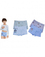 Bóxer de Niño Modelos Surtidos x 12 Unds. Tallas: 5/7 - 8/10 - 10/12 - 12/14