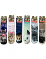 Calcetines de Mujer Diseño Gatos x 24 Pares. Talla: 36 al 39