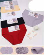 Calzón Algodón de Dama Colores Surtidos x 12 Unds. Tallas: 32 (M/L) - 34 (XL/2XL) - 36 (2XL/3XL)