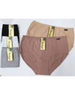 Calzón de Dama Colores Surtidos x 12 Unds. Tallas: XL - 2XL - 3XL