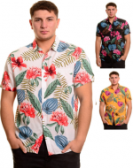 Camisa Guayabera Colores Surtidos x 12 Unds. Talla: M - L - XL - 2XL
