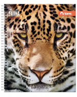 Cuaderno Universitario Tapa Dura Fauna 100 Hojas Torre x 10 Unds. Medida: 7 mm