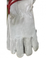 Guantes de Cabritilla Color Único x 120 Pares .