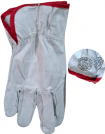 Guantes de Cabritilla Color Único x 12 Pares .