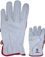 Guantes de Cabritilla Color Único x 12 Pares .