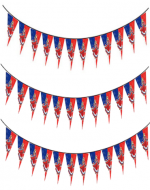 Guirnalda de Papel con Diseño Fiestas Patrias x 12  Unds. Medida: 3 Metros aprox.