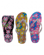 Hawaianas de Mujer x 36 Pares Tallas: 36 al 41