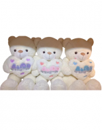 Peluche Oso Corazon con Luz Colores Surtidos x 4 Unds. Medida: 55 cm aprox.