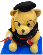 Peluche de Graduación Color Único x 4 Unds. Medida: 22 cm aprox.