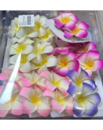 Pinche Hawaii Colores Surtidos x 24 Unds. Medida: 7 cm aprox.