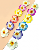 Pinche Flor Hawaii Colores Surtidos x 24 Unds. Medida: 9 cm aprox.