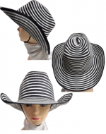 Sombrero Colombiano para Adultos x 6 Unds.