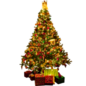 arbol